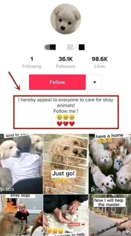 v2-560b04143259c92f2f716437dc31f494_r