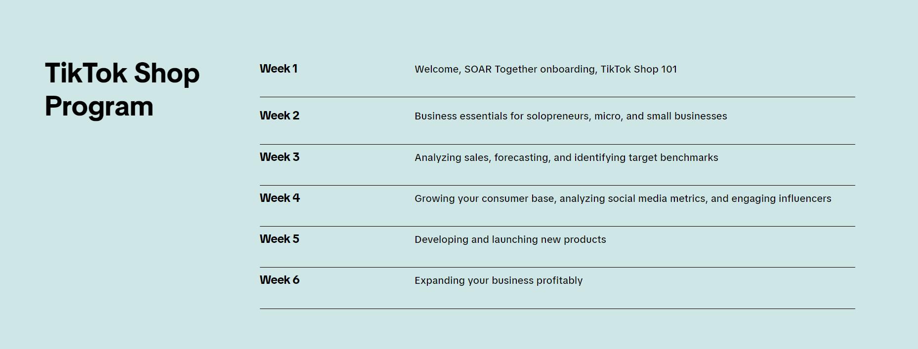 助跑中小企业,TikTok Shop上线专项扶持计划